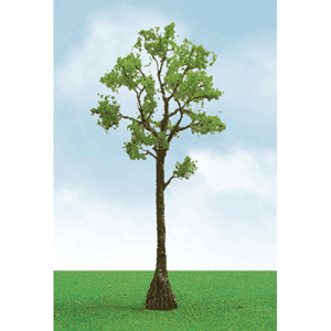 Cypress Trees - Pro Elite -- 2-3/4 to 3-1/2:  5.7 to 8.9cm pkg(3)