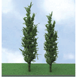 Poplar Trees - Pro Elite -- 2-3/4 - 3-1/2"  5.7 - 8.9cm pkg(3)
