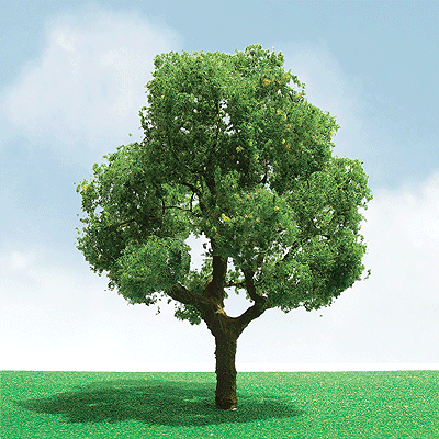 Deciduous Trees - Pro-Elite Series -- 3 to 3-1/2"  7.6 to 8.9cm pkg(2)