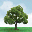 Pro-Elite Series Tree -- Elder 3 to 3-1/2"  7.6 to 8.9cm Tall pkg(2)