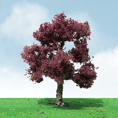 Pro-Elite Series Tree -- Copper Beech 3 to 3-1/2"  7.6 to 8.9cm Tall pkg(2)