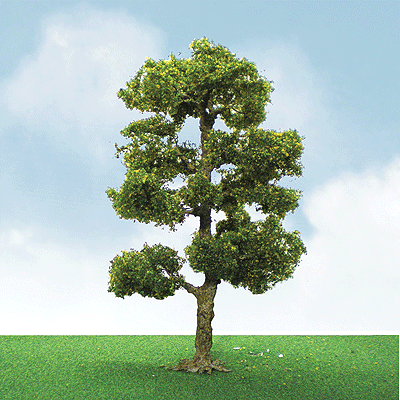 Pro-Elite Series Tree -- Downy Birch 3-1/2 to 4"  8.9 to 10.2cm Tall pkg(2)