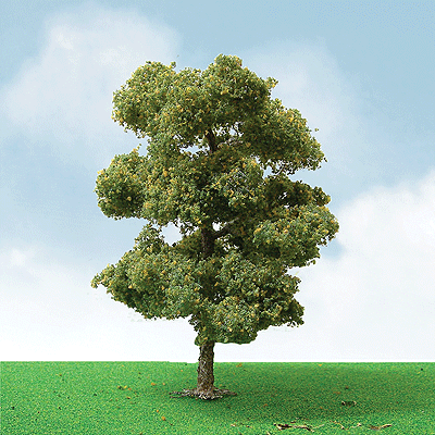 Pro-Elite Series Tree -- European Plane - 3-1/2 to 4"  8.9 to 10.2cm Tall pkg(2)