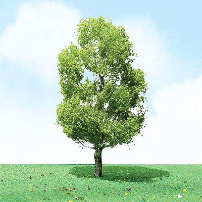 Pro-Elite Series Tree -- Birch 3-1/2 to 4"  8.9 to 10.2cm Tall pkg(2)
