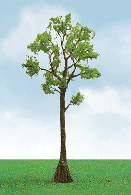 Pro-Elite Series Tree -- Cypress 5 to 5-1/2"  12.7 to 14cm Tall pkg(2)