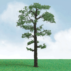 Scots Pine Trees - Pro Elite -- 8"  20.3cm