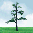Old Pine Trees - Pro Elite -- 8"  20.3cm