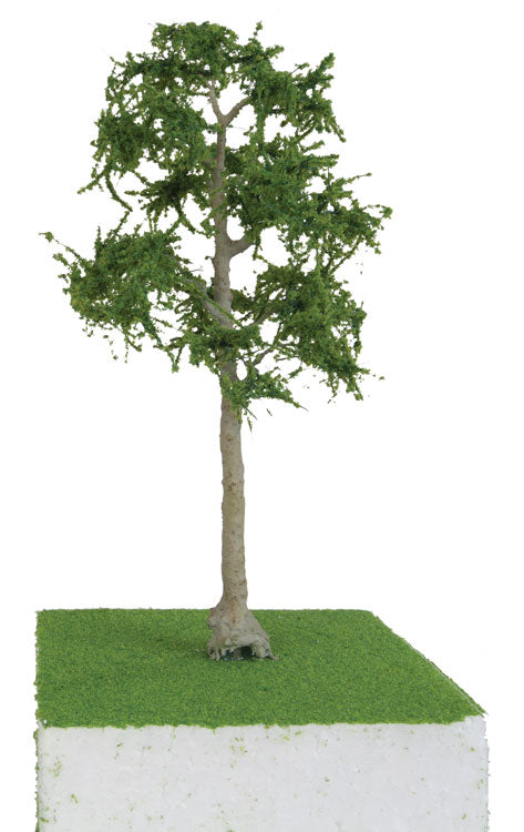 Cypress Trees - Pro Elite -- 8"  20.3cm