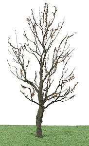 Tree w/Dry Foliage (Late Fall) -- 6"  15.2cm