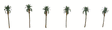 Palm Trees - Professional Series -- 1-1/2"  3.8cm pkg(6)