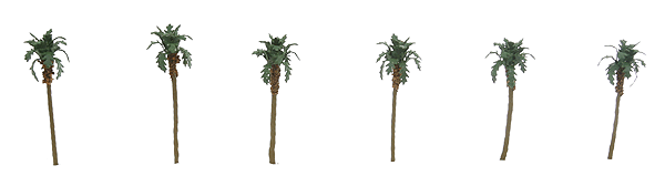 Palm Trees - Professional Series -- 1-1/2"  3.8cm pkg(6)