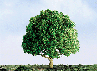 Oak Trees - Professional Series -- 1-1/2"  3.8cm pkg(4)