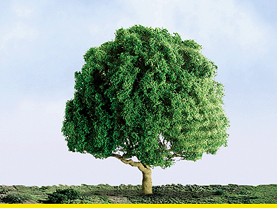 Oak Trees - Professional Series -- 3"  7.6cm Tall pkg(2)