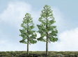 Pine Trees - Professional Series -- 2"  5.1cm pkg(4)