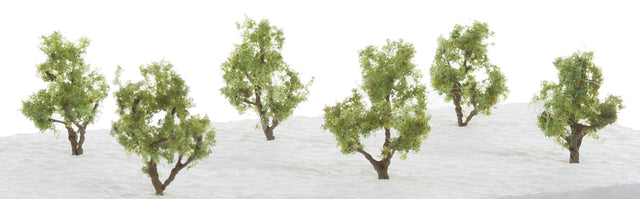 Deciduous Trees 6/