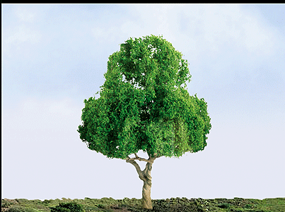 Deciduous Trees - Professional Series -- 3"  7.6cm pkg(2)