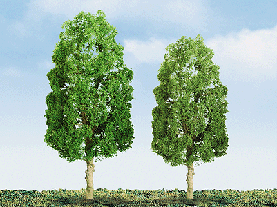 Sycamore Trees - Professional Series -- 1-1/2"  3.8cm pkg(6)