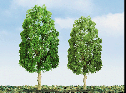 Sycamore Trees - Professional Series -- 3"  7.6cm pkg(3)