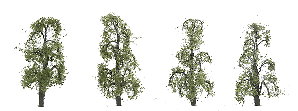 Birch Trees - Professional Series -- 2"  5.1cm pkg(4)