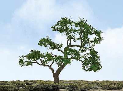 Professional Series Beech Trees -- 1-1/2"  3.8cm Tall pkg(4)