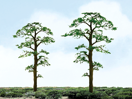 Professional Series Scots Pine Trees -- 1-1/2"  3.8cm pkg(6)