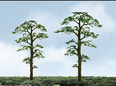 Scots Pine Trees - Professional Series -- 4"  10.2cm pkg(2)