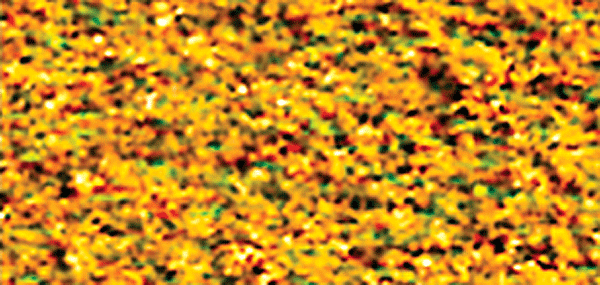 Turf Ground Cover -- Medium Blended Early Fall 30 Cubic Inches