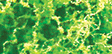 Foliage Fiber Cluster -- Coarse Light Green 150 Square Inches