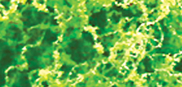Foliage Fiber Cluster -- Coarse Light Green 150 Square Inches