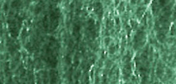 Foliage Fiber Cluster -- Coarse Dark Green 150 Square Inches