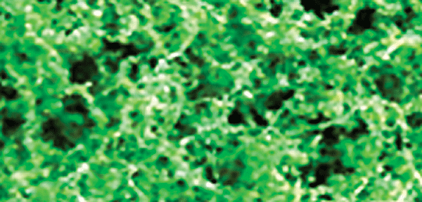 Foliage Fiber Cluster -- Fine Medium Green 150 Square Inches