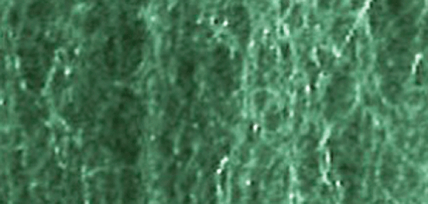 Foliage Fiber Cluster -- Fine Dark Green 150 Square Inches