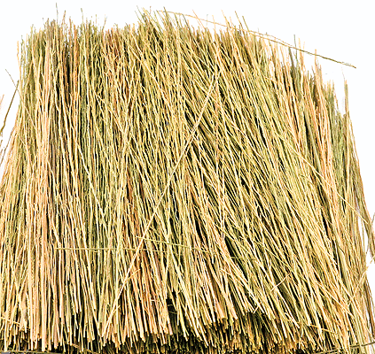 Field Grass - 1/2oz  15g -- Natural Brown