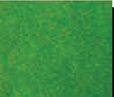 Grass Mat - 50 x 100"  127 x 245cm -- Light Green