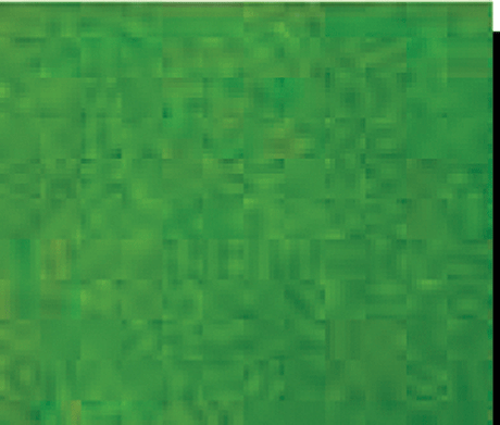 Grass Mat - 50 x 100"  127 x 245cm -- Light Green