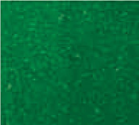 Grass Mat - 50 x 100"  127 x 245cm -- Medium Green