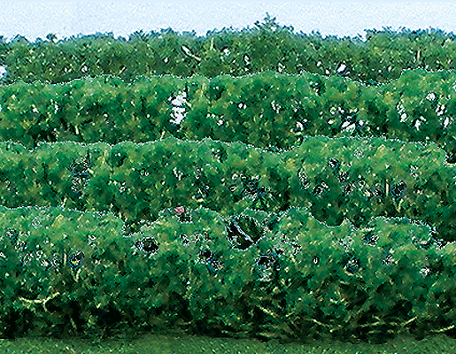 Flowering Hedges - 8 Pieces - Each 4-1/2 x 3/8 x 5/8"  12 x 1 x 1.6cm -- Green