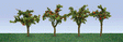Apple Tree Saplings -- 1-3/8"  3.5cm Tall pkg(12)