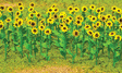 Sunflowers - Assembled -- 1"  2.5cm Tall pkg(16)