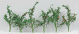 Tomato Plants - Assembled -- 1-1/2"  3.8cm Tall pkg(12)