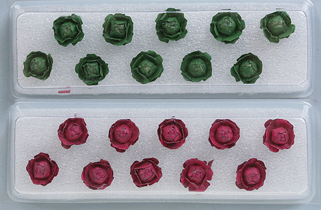 Cabbage & Lettuce -- 1/2"  1.3cm Tall pkg(20)