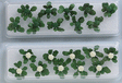 Broccoli & Cauliflower -- 5/8"  1.6cm Tall pkg(20)