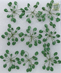 Lily Pads -- 1-1/2"  3.8cm Wide pkg(9)