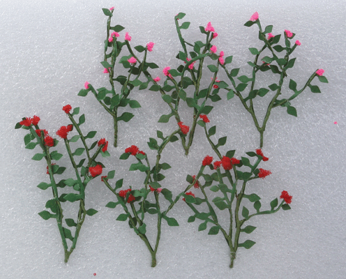 Rose Bushes -- 1-3/8"  3.5cm pkg(6)