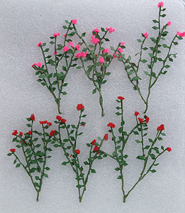 Rose Bushes -- 2-1/2" 6.4cm pkg(6)