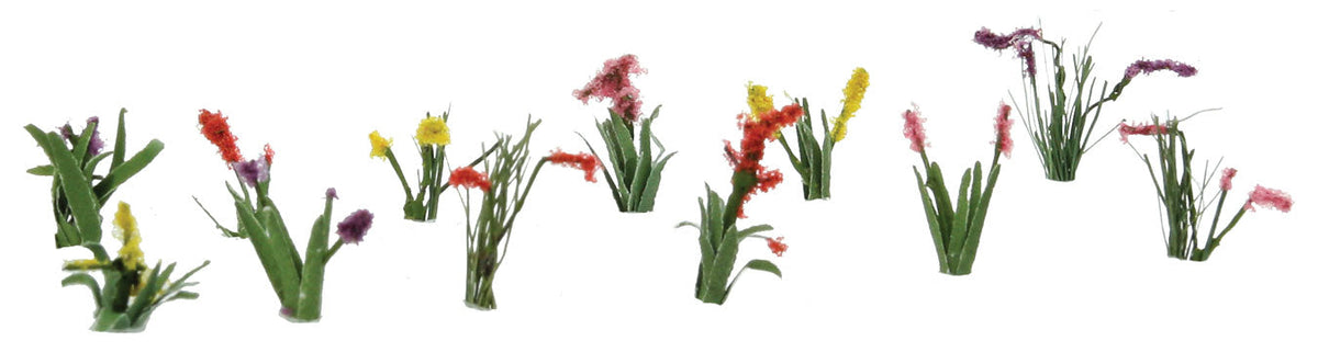 Assorted Flower Plants -- Set #2 pkg(10)