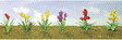 Assorted Flower Plants -- Set #2 pkg(10)