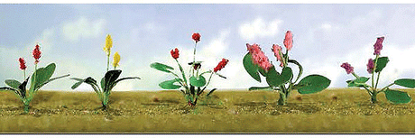 Assorted Flower Plants -- Set #3 pkg(10)
