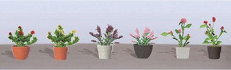 Assorted Potted Flower Plants -- Set #1 pkg(6)