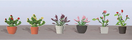 Assorted Potted Flower Plants -- Set #1 pkg(6)